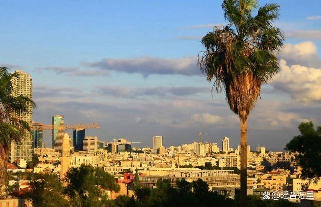 皇冠信用网在线开户_8万也门政府军出兵荷台达皇冠信用网在线开户，伊朗不敢下场，胡塞面临两大致命困境