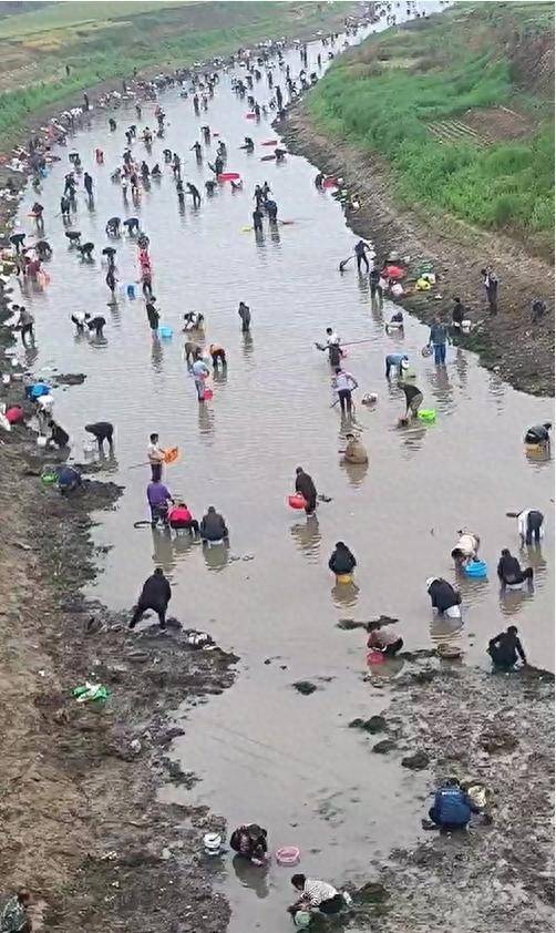 怎么开皇冠信用网
_河南浚县一处河道内众人捞金？当地辟谣：捞的是花甲怎么开皇冠信用网
，已劝离捕捞客