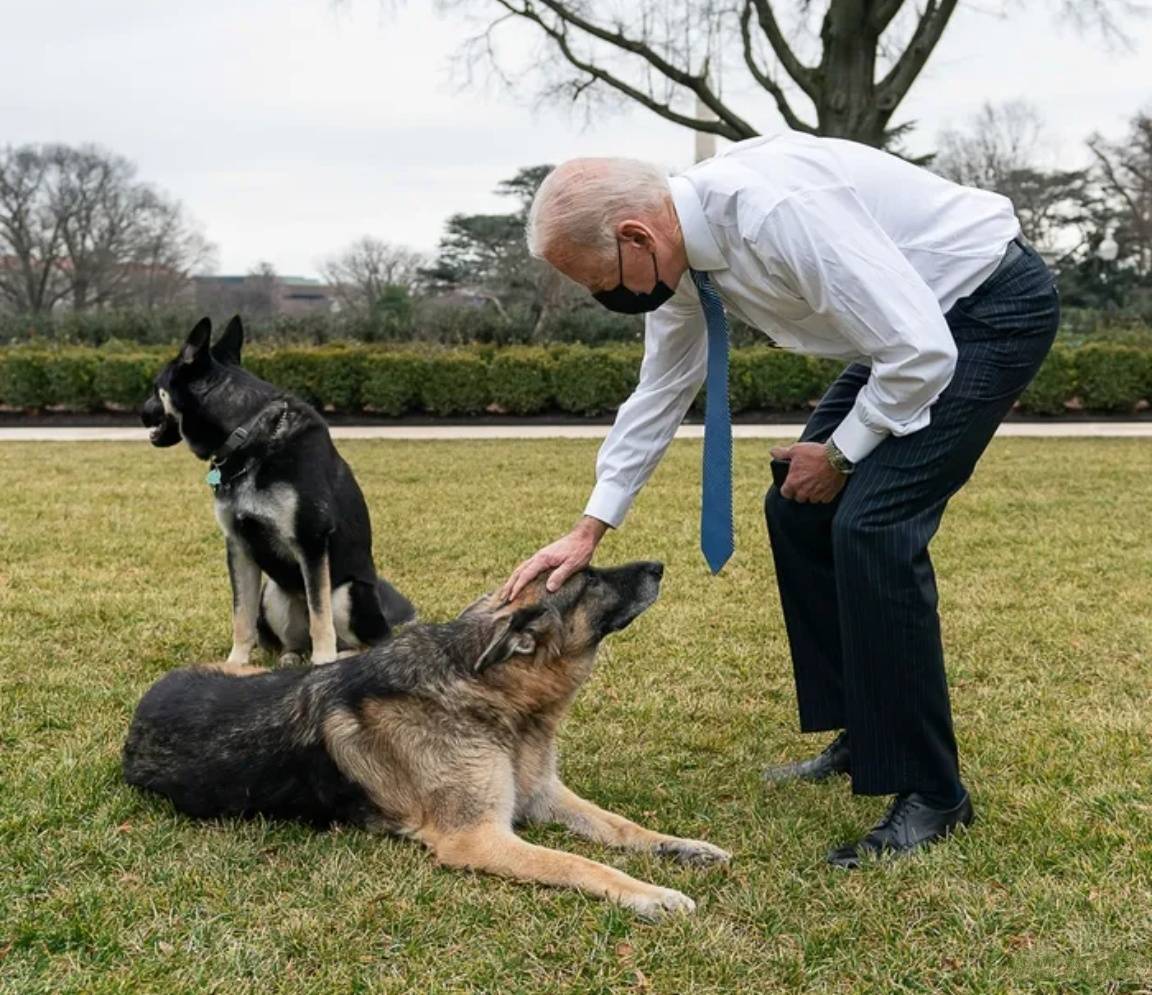 皇冠信用網登3代理_新加坡劝中国放弃自给自足皇冠信用網登3代理，称美国还有绝招！这个印度裔总统，对华不怀好意