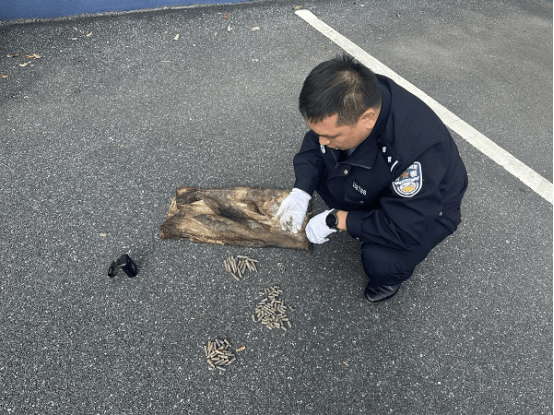 皇冠信用网登2代理_男子钓到108发子弹以为是大鱼皇冠信用网登2代理，警方：疑似为历史遗留弹药，已移交至相关部门处理